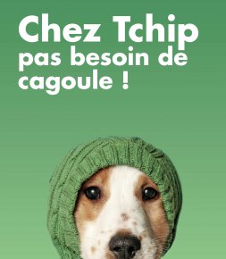 Marques et fournisseurs Tchip : une campagne qui a du chien !