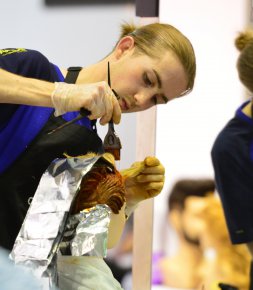 Concours La France (encore !) championne olympique de coiffure