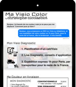 Internet/Numérique Christophe-Nicolas Biot lance un service de coloration à distance
