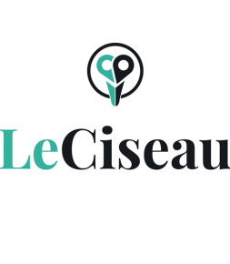 Internet/Numérique 72% des salons ont instauré un supplément sanitaire d’après Leciseau.fr