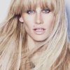 Coloration Champagne blend