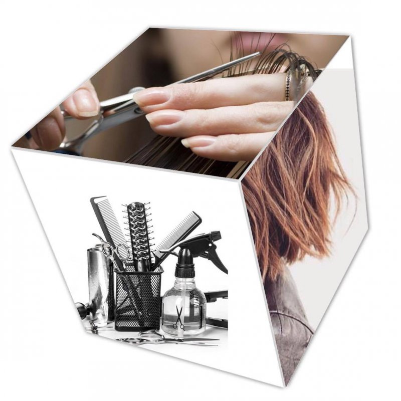 Leroy Delphine Formation Coiffure