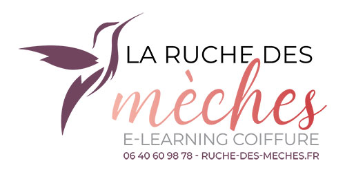La ruche des mèches (CFA)