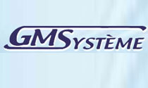 GMSYSTEME