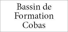 Bassin Formation Cobas