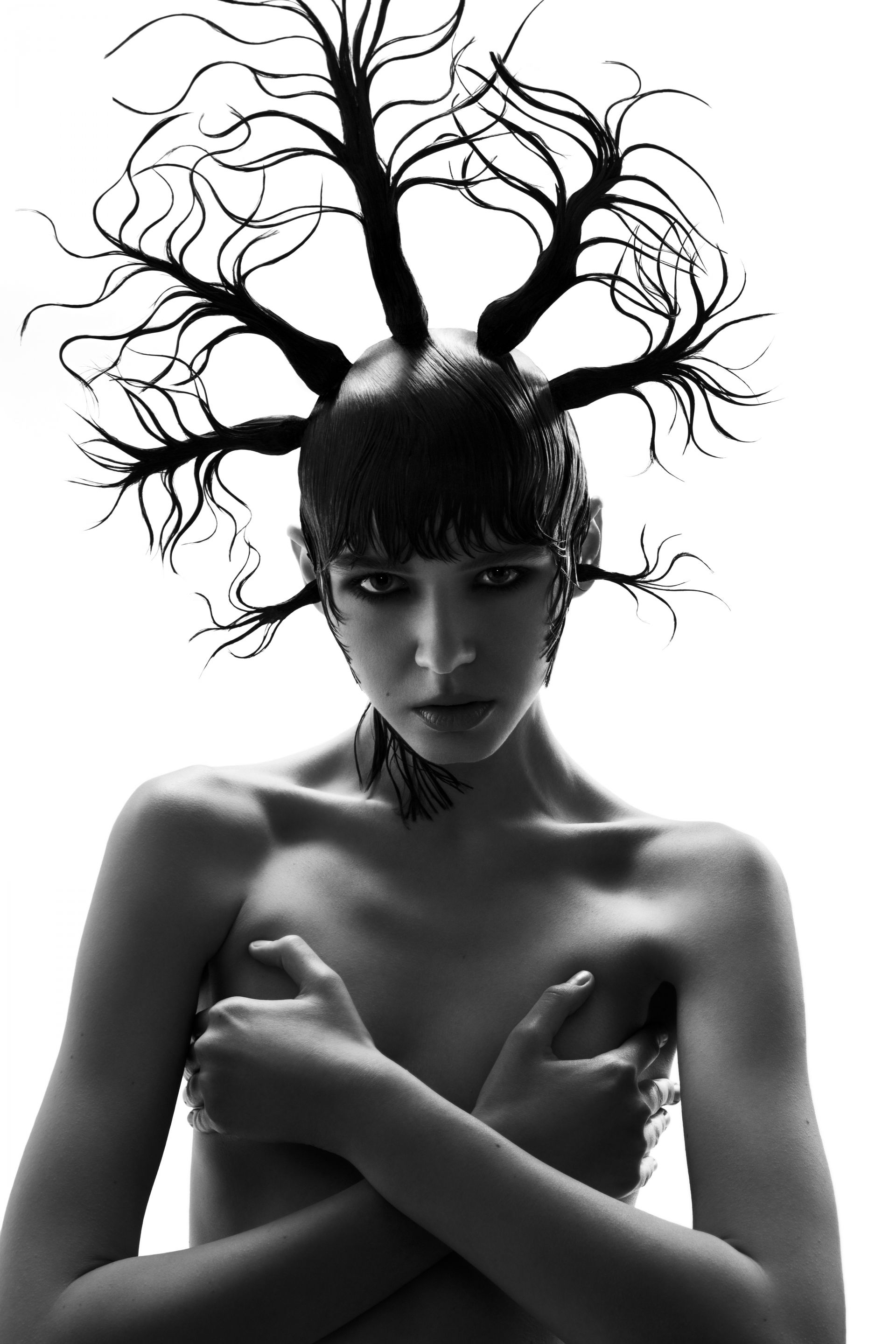 Haute Coiffure Fran&ccedil;aise